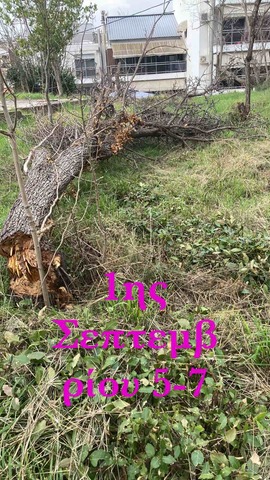 Φωτογραφία 2